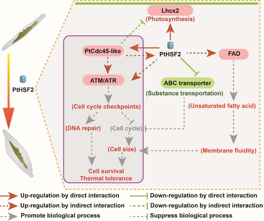 [unsupported image] 文章中包含無法識(shí)別的內(nèi)容，建議將圖表和SmartArt轉(zhuǎn)為圖片